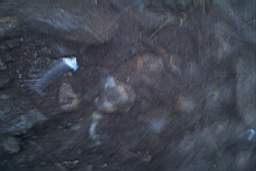 coolross 1215.JPG